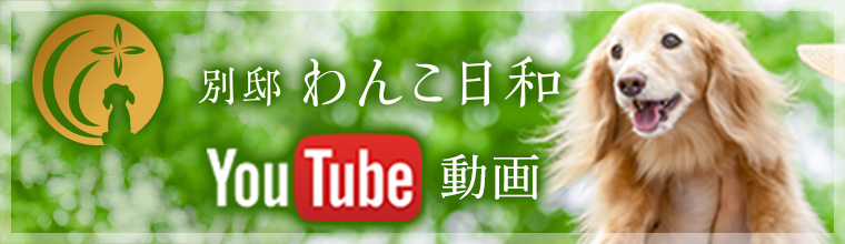 別邸 わんこ日和 Youtube動画