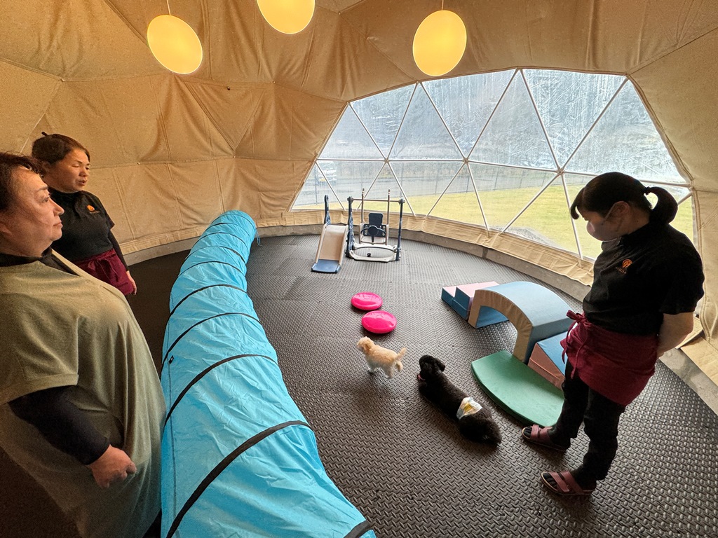 雨用のわんちゃんの遊び場　グランピングテント
